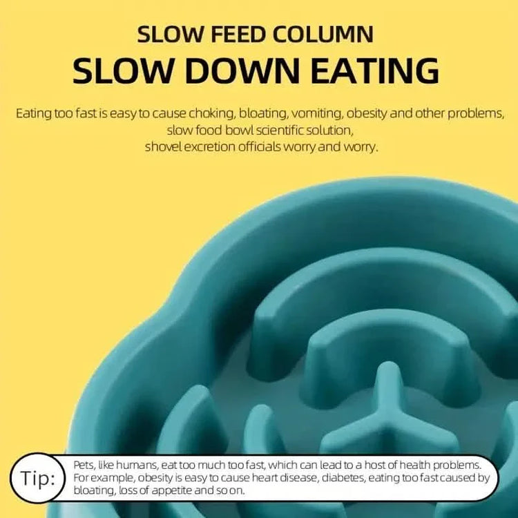 2-Pack: Cat and Dog Slow Food Bowl Slow Food Bowl