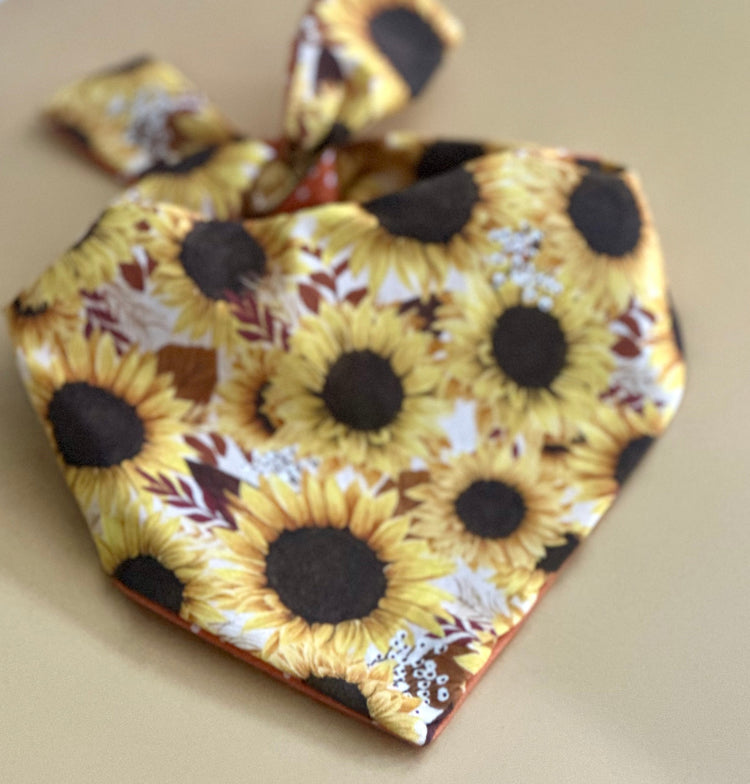 Sunflower Dog Bandana