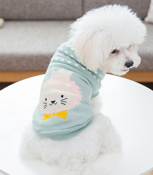 Dog clothes