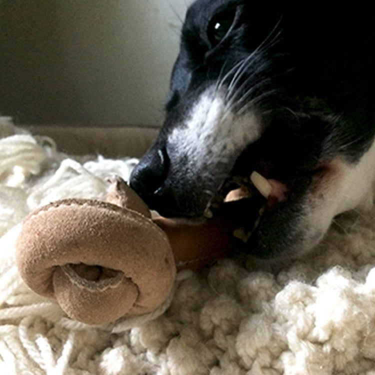 Huggle-HideĀ® Natural Leather Bone Dog Toy, 3 Pack