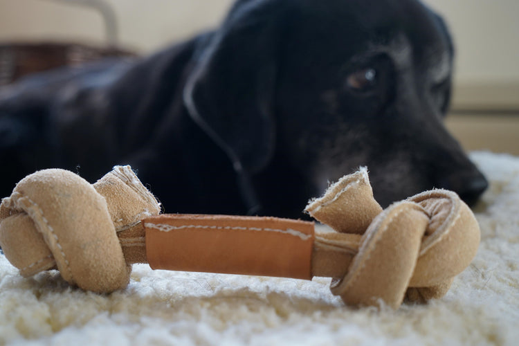 Huggle-HideĀ® Natural Leather Bone Dog Toy, 3 Pack