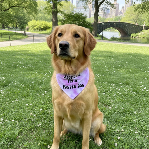 Adopt Me I'm A Foster Tie Dye Dog Bandana New Arrival