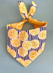 Lemon Dog Bandana