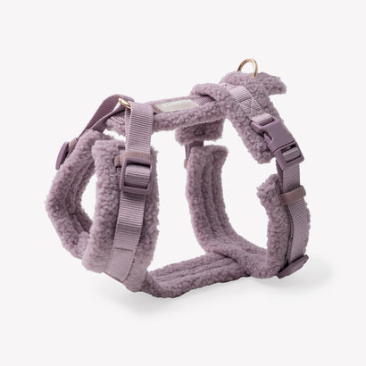 Leashes, Collar, Harnesses and Bandanas