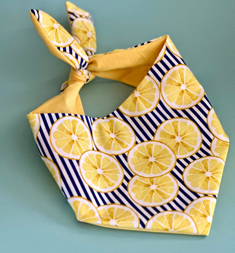 Lemon Dog Bandana