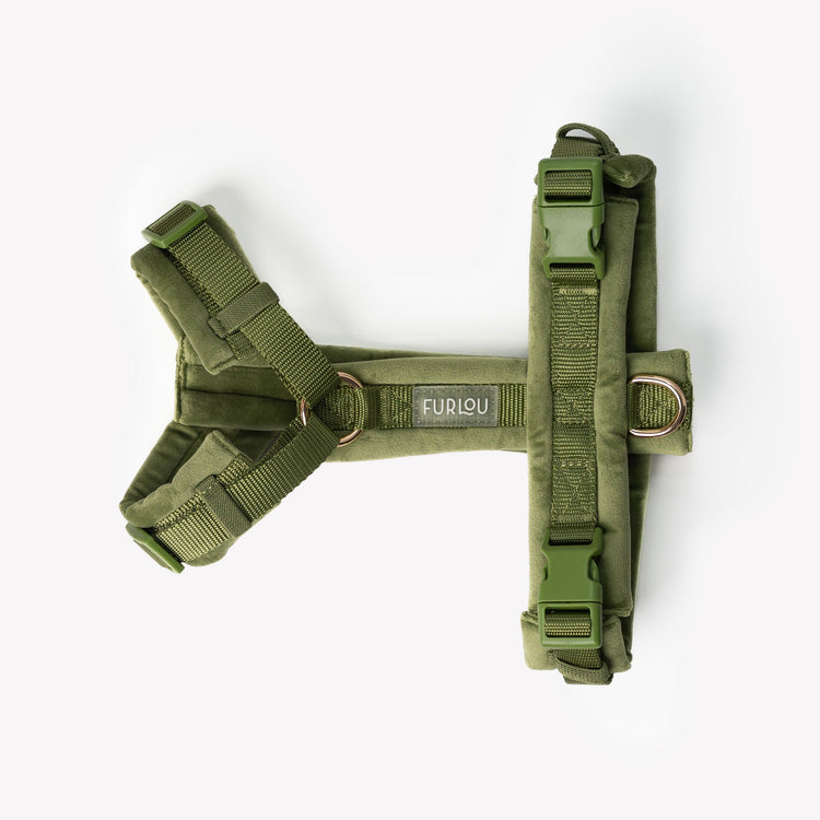 Green - Velvet Dog Harness