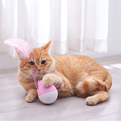 Cats Toys