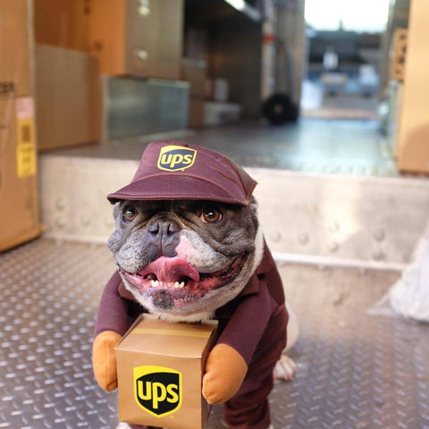 Funny Express Pet Dog Cat Clothes