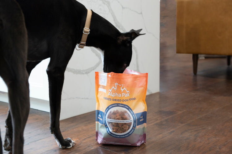 PREMIUM RAW FREEZE DRIED DOG FOOD BEEF