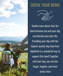 PREMIUM RAW FREEZE DRIED DOG FOOD BEEF