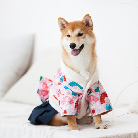 Winter dog clothes