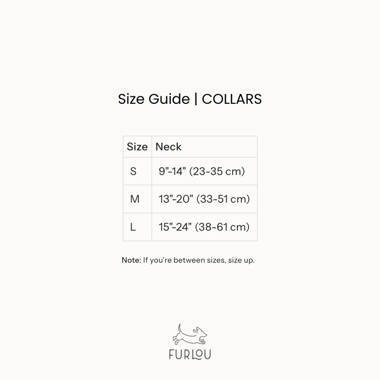 'Tan' - Canvas Dog Collar