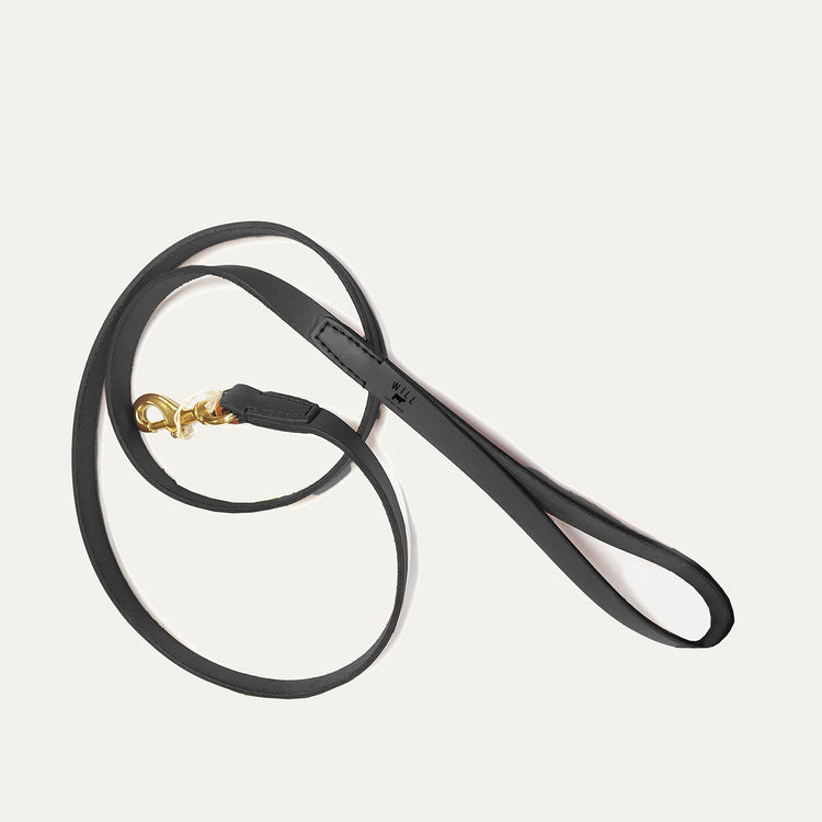 Dog Leash