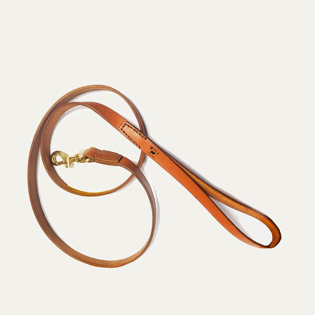 Dog Leash