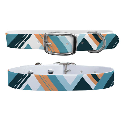 Color Blocked Cool Dog Collar