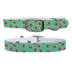 Ladybugs Dog Collar