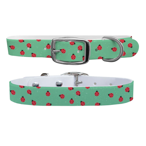 Ladybugs Dog Collar