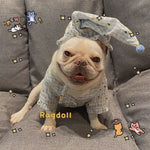 Clothes, Dogs Cats Favs Teddy Schnauzer