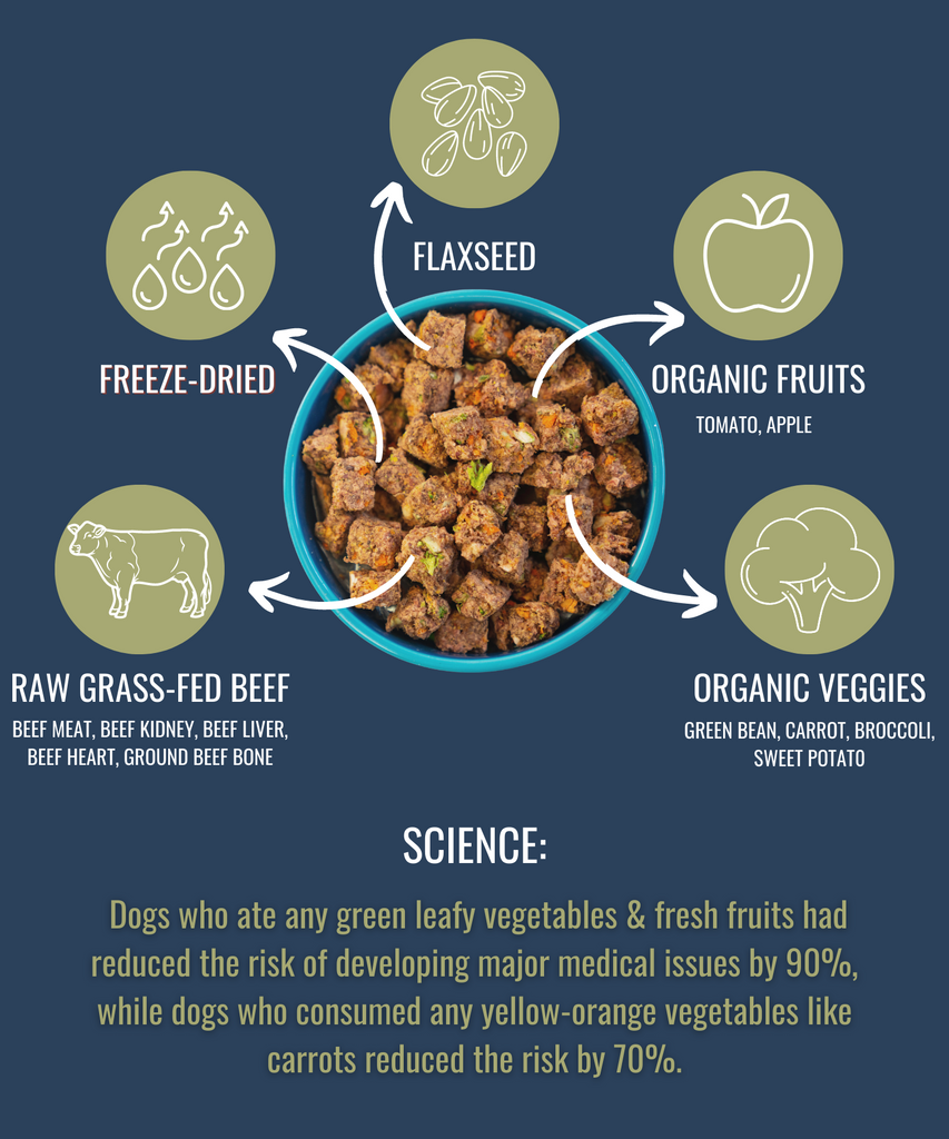 PREMIUM RAW FREEZE DRIED DOG FOOD BEEF