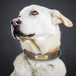Personalized Dog Collar, Custom Engraved PU Leather Dog Collars, Free Engraving ID Tag Nameplate For Small Medium Large Dogs - C1515