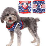 Denim Dog Harness with Star Print & Secure Buckle