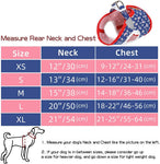 Denim Dog Harness with Star Print & Secure Buckle