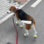 Breathable Mesh Dog Shoes | Non-Slip Summer Pet Boots