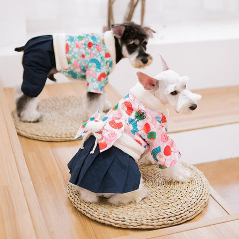 Winter dog clothes