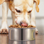 Stainless Steel Dog Bowl, Hanging Pet Food & Water Bowl with Clamp Holder, Detachable Cage Feeding Bowl