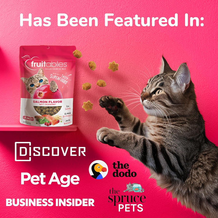 Cat Crunchy Treats made with salmon