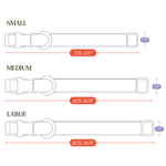 Tilley + Me PVC Dog Collar - All Weather Waterproof Durable & Odor-Resistant