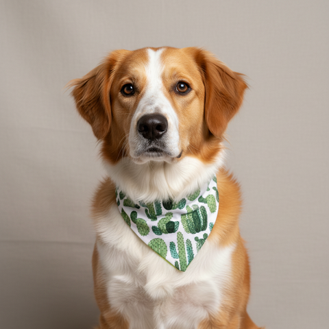 Cactus Dog Bandana