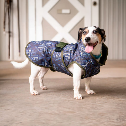 All Weather Dog Coat
