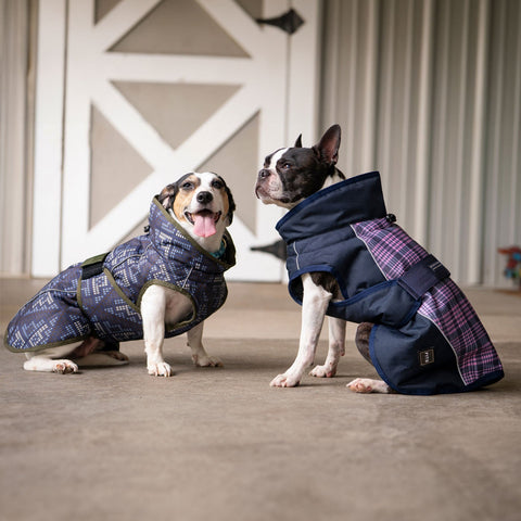 All Weather Dog Coat