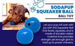 Squeak Ball - Durable Squeaky Dog Toy, Floats, Chew Toy | USA Made