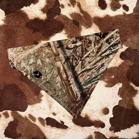 Dog Bandana