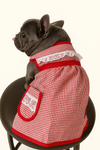 🇲🇽 Dogñitas – The Abuelita Mandil for Your Pup 🐶
