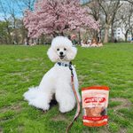 Turkey Chips for Dogs | All-Natural Single-Ingredient Healthy Dog Treats