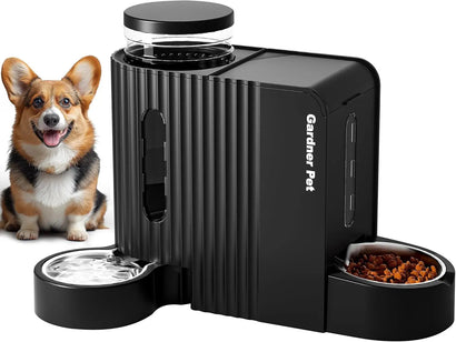 Dogs Essentials
