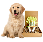 4-FURRY DOGS *RESTORATIVE GROOMING KIT