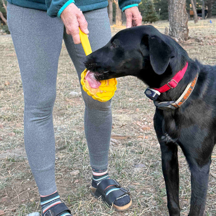 eStick Hand-Held Dog Enrichment Toy - Interactive Lick Stick | USA Made