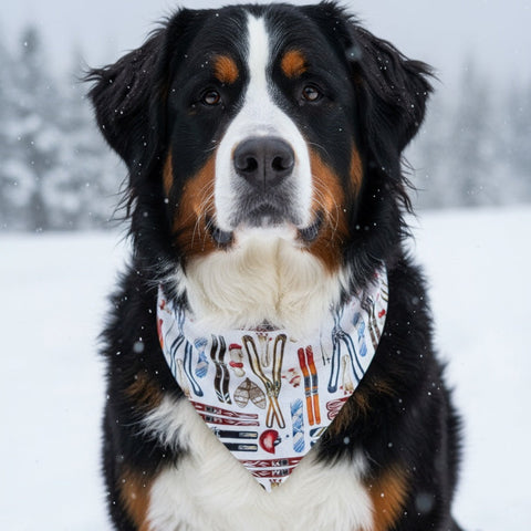 Skiing Dog Bandana