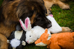 Squooshie™ Fox Plush Dog Toy
