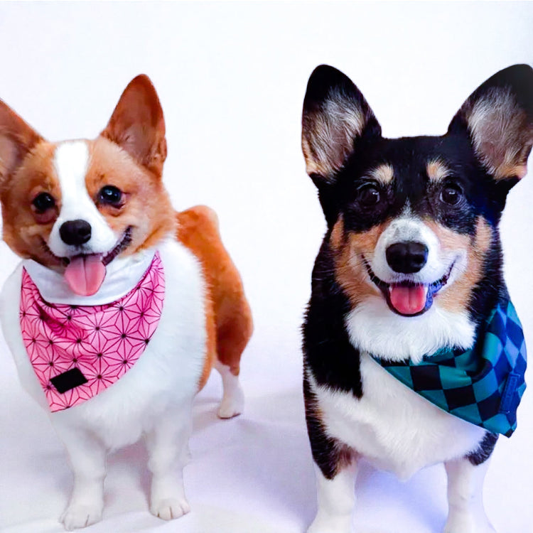 Asanoha Cooling Bandana