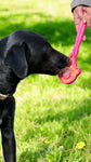 eStick Hand-Held Dog Enrichment Toy - Interactive Lick Stick | USA Made