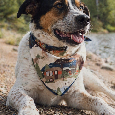 Camping Dog Bandana
