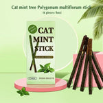 6PCS Natural Matatabi Cat Sticks – Silvervine Teeth Cleaning Treat & Cat Chew Toy