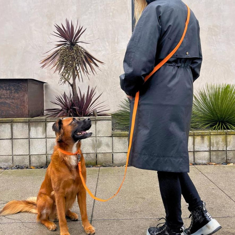 Tilley + Me PVC Dog Collar - All Weather Waterproof Durable & Odor-Resistant