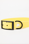 The Modern Dog Company - Daffodil Yellow Collar (Weather + Odor Resistant)