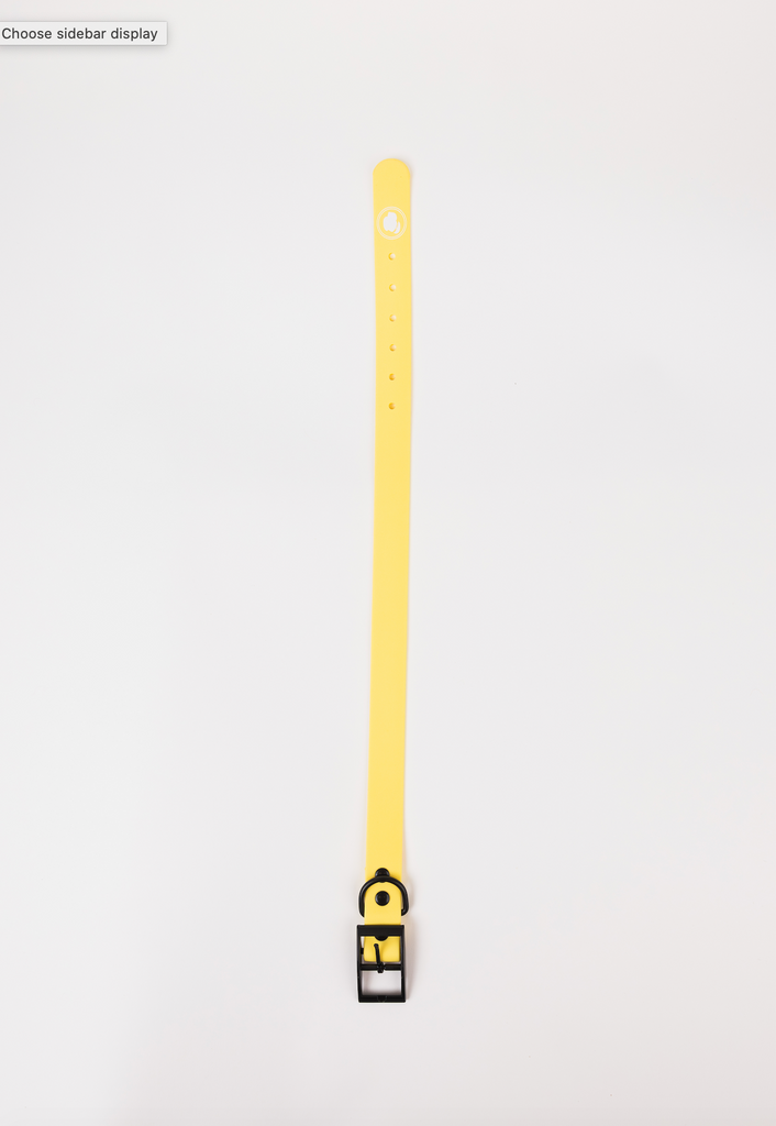 The Modern Dog Company - Daffodil Yellow Collar (Weather + Odor Resistant)